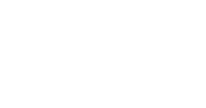 alex-ani logo