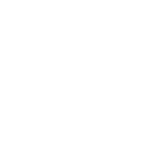 bostitch logo