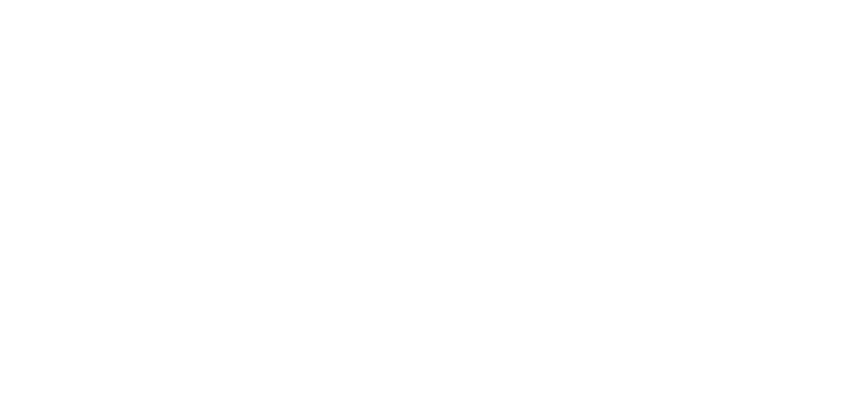 alexandani logo