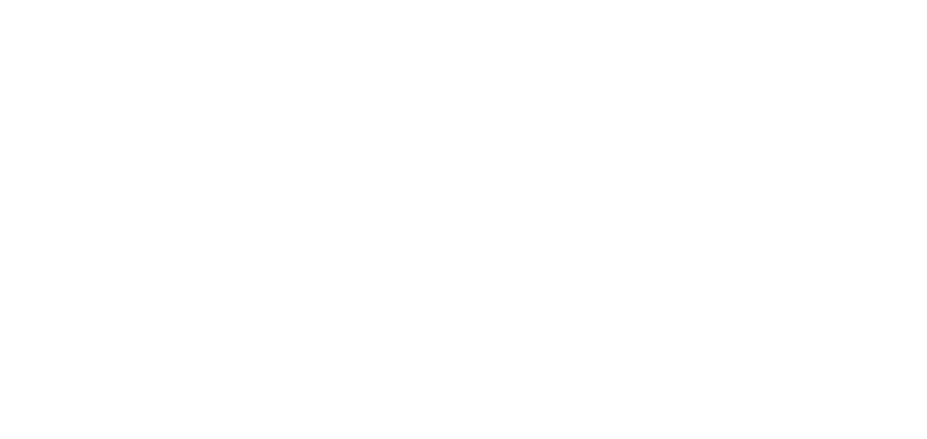 Dioptics Sunwear logo