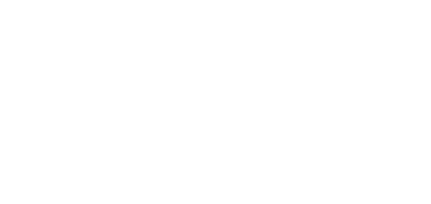 safety1st logo