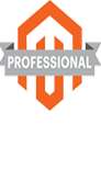 Professional Magento Solutions Partner
