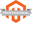 Professional Magento Solutions Partner